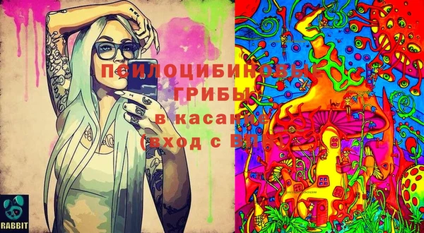 герыч Дмитриев
