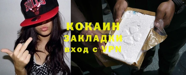 дживик Дмитров