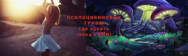 герыч Дмитриев