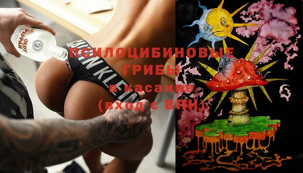 дживик Дмитров