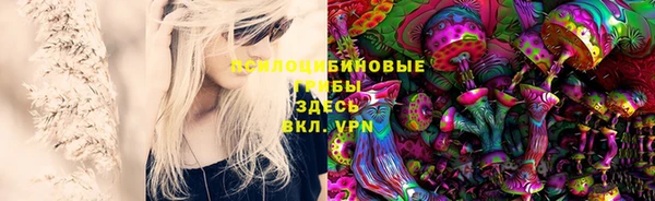 дживик Дмитров