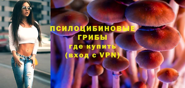 дживик Дмитров