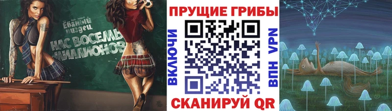 Купить закладки  Ишимбай  Псилоцибиновые грибы Psilocybine cubensis 